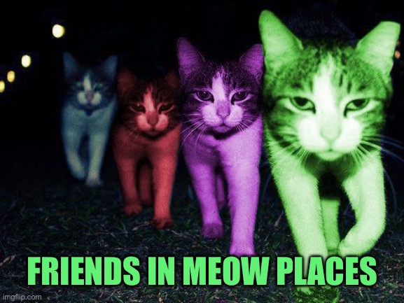 I Got Friends In Meow Places | FRIENDS IN MEOW PLACES | image tagged in wrong neighborhood raycats,memes | made w/ Imgflip meme maker