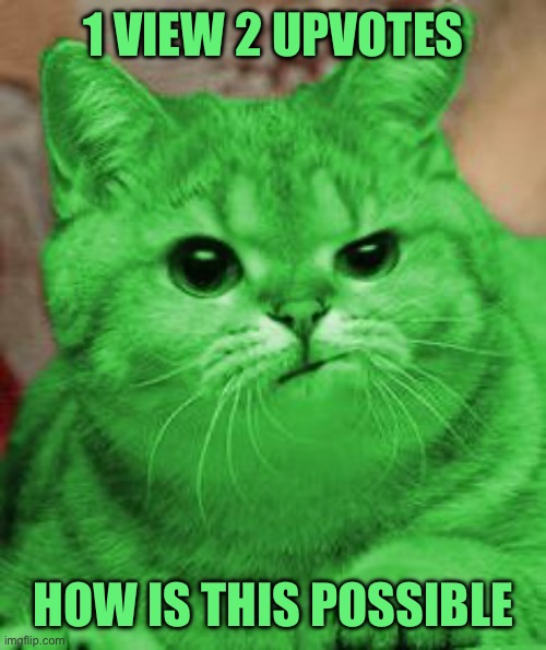 RayCat Annoyed | 1 VIEW 2 UPVOTES; HOW IS THIS POSSIBLE | image tagged in raycat annoyed | made w/ Imgflip meme maker