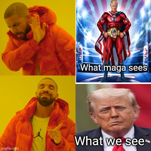 Drake Hotline Bling Meme | What maga sees What we see | image tagged in memes,drake hotline bling | made w/ Imgflip meme maker
