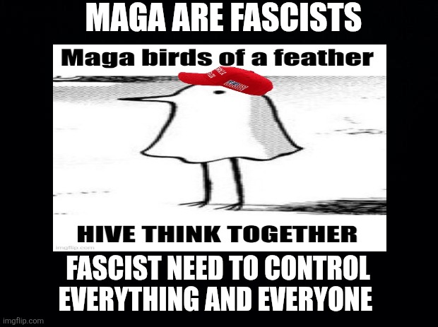 Black background | MAGA ARE FASCISTS FASCIST NEED TO CONTROL EVERYTHING AND EVERYONE | image tagged in black background | made w/ Imgflip meme maker