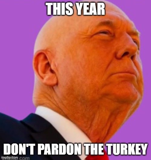 Trumpsgiving Turkey | THIS YEAR DON'T PARDON THE TURKEY | image tagged in trumpsgiving turkey | made w/ Imgflip meme maker