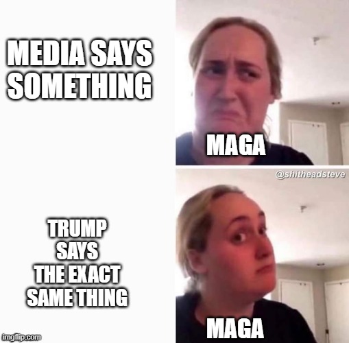 Reconsider Woman Blank | MEDIA SAYS SOMETHING TRUMP SAYS THE EXACT SAME THING MAGA MAGA | image tagged in reconsider woman blank | made w/ Imgflip meme maker