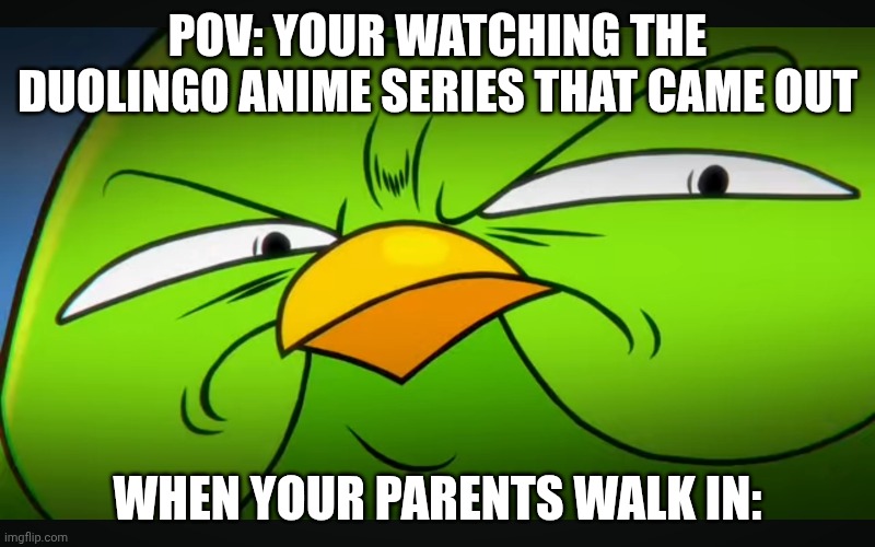 Duolingo serious face meme | POV: YOUR WATCHING THE DUOLINGO ANIME SERIES THAT CAME OUT; WHEN YOUR PARENTS WALK IN: | image tagged in duolingo serious face meme bc yes | made w/ Imgflip meme maker