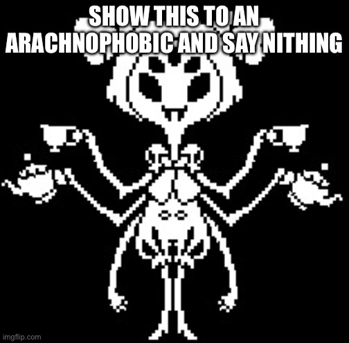 Nithing | SHOW THIS TO AN ARACHNOPHOBIC AND SAY NOTHING | image tagged in muffet | made w/ Imgflip meme maker