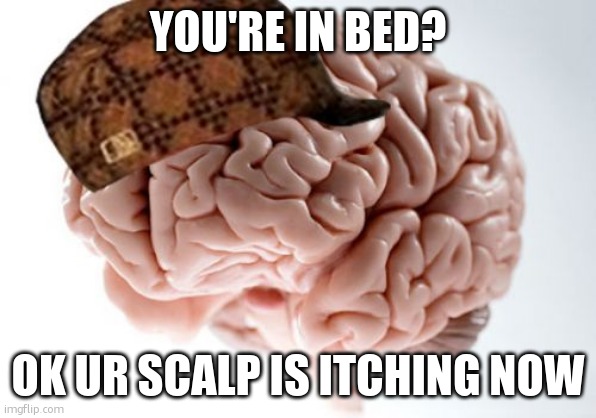 wrong place wrong time | YOU'RE IN BED? OK UR SCALP IS ITCHING NOW | image tagged in memes,scumbag brain,funny,itching,relatable,fr | made w/ Imgflip meme maker