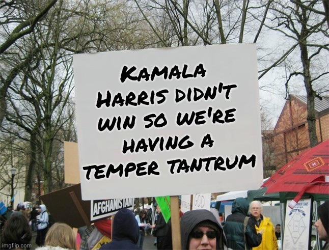 Blank protest sign | Kamala Harris didn't win so we're having a temper tantrum | image tagged in blank protest sign | made w/ Imgflip meme maker