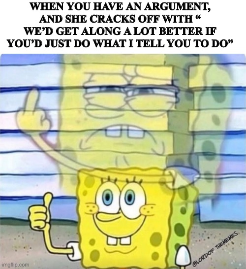 WHEN YOU HAVE AN ARGUMENT, AND SHE CRACKS OFF WITH “ WE’D GET ALONG A LOT BETTER IF YOU’D JUST DO WHAT I TELL YOU TO DO” | image tagged in fun | made w/ Imgflip meme maker