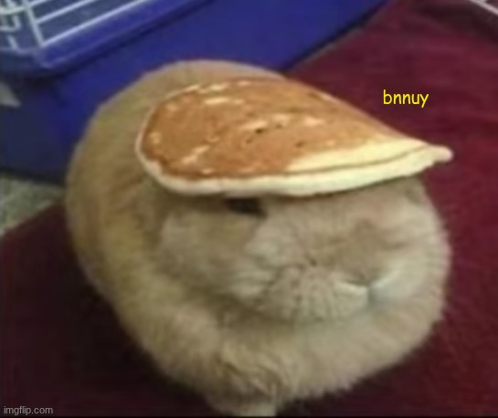 bnnuy | bnnuy | image tagged in bnnuy | made w/ Imgflip meme maker