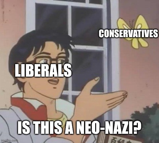 Conservatives are neo-nazis apparently. Why do these people still think the moderate right is far right?! | CONSERVATIVES; LIBERALS; IS THIS A NEO-NAZI? | image tagged in memes,is this a pigeon | made w/ Imgflip meme maker