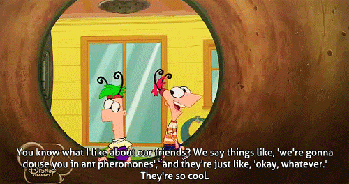 Like about our friends Blank Meme Template