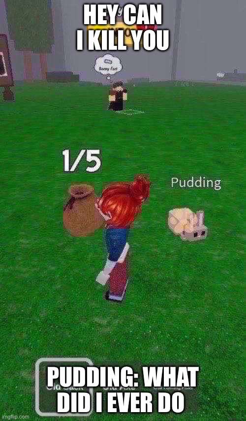 Pudding the bunny | HEY CAN I KILL YOU; PUDDING: WHAT DID I EVER DO | image tagged in bunny,foot,roblox,memes | made w/ Imgflip meme maker