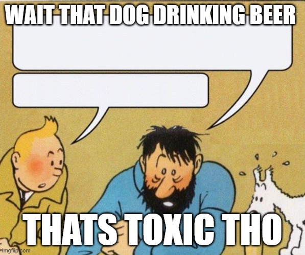 Captain, it's wednesday | WAIT THAT DOG DRINKING BEER; THATS TOXIC THO | image tagged in captain it's wednesday | made w/ Imgflip meme maker