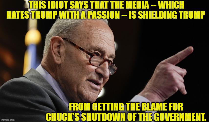 I think Chuck Schumer is feeling his scheme unravelling. | THIS IDIOT SAYS THAT THE MEDIA -- WHICH HATES TRUMP WITH A PASSION -- IS SHIELDING TRUMP; FROM GETTING THE BLAME FOR CHUCK'S SHUTDOWN OF THE GOVERNMENT. | image tagged in yep | made w/ Imgflip meme maker