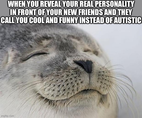 Wholesome | WHEN YOU REVEAL YOUR REAL PERSONALITY IN FRONT OF YOUR NEW FRIENDS AND THEY CALL YOU COOL AND FUNNY INSTEAD OF AUTISTIC | image tagged in memes,satisfied seal | made w/ Imgflip meme maker