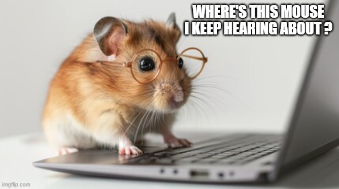 The mouse on a computer want to know where the mouse is.  --  funny  -- | WHERE'S THIS MOUSE I KEEP HEARING ABOUT ? | image tagged in games,mouse,computer,video games,computer games,funny | made w/ Imgflip meme maker