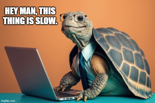 Turtle says his computer is slow.  --  funny  -- | HEY MAN, THIS THING IS SLOW. | image tagged in games,video games,computer games,computer,turtle,slow | made w/ Imgflip meme maker