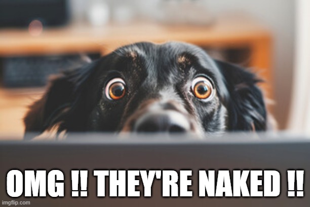 OMG !! They're naked !! A dog sees his people naked for the first time. | OMG !! THEY'RE NAKED !! | image tagged in naked,dogs,funny,humor,people | made w/ Imgflip meme maker
