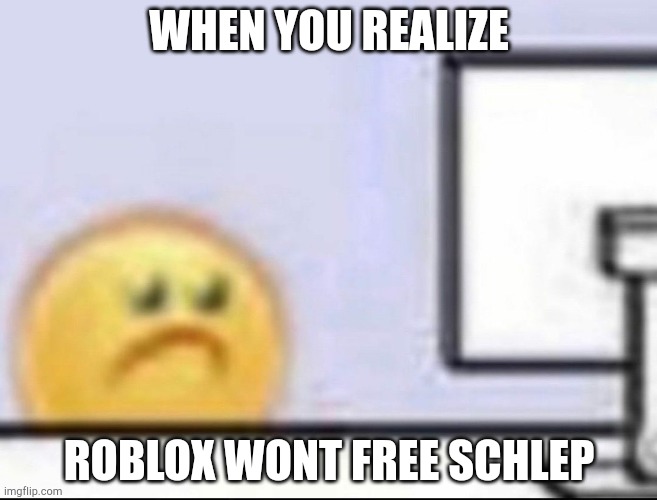 WHEN YOU REALIZE ROBLOX WONT FREE SCHLEP | image tagged in zad | made w/ Imgflip meme maker