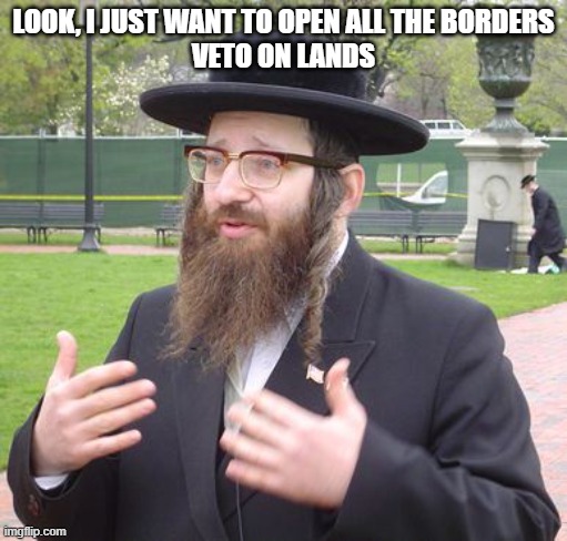Jewish Dude | LOOK, I JUST WANT TO OPEN ALL THE BORDERS
VETO ON LANDS | image tagged in jewish dude | made w/ Imgflip meme maker