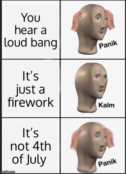 Maybe it’s the new year right? ITS NOT 2026 | You hear a loud bang; It’s just a firework; It’s not 4th of July | image tagged in memes,panik kalm panik,fun | made w/ Imgflip meme maker