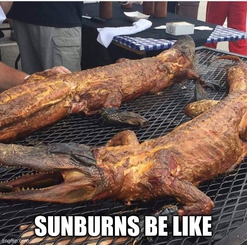 Good Thing Summer is Over | SUNBURNS BE LIKE | image tagged in gator,summer | made w/ Imgflip meme maker
