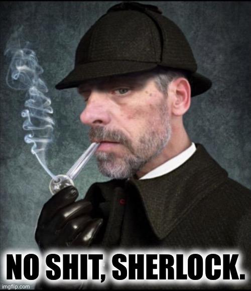 No Shit Sherlock | NO SHIT, SHERLOCK. | image tagged in no shit sherlock | made w/ Imgflip meme maker