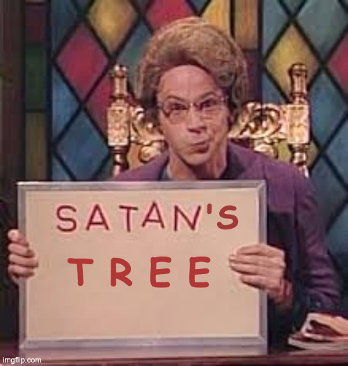 snl church lady starbucks | T R E E; 'S | image tagged in snl church lady starbucks | made w/ Imgflip meme maker