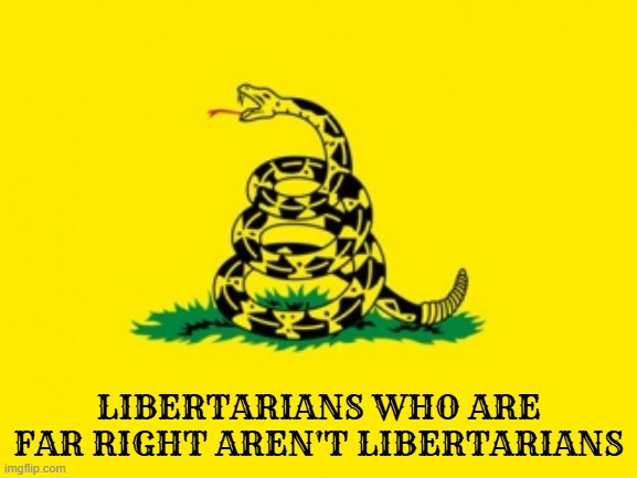 Gadsden Flag | LIBERTARIANS WHO ARE FAR RIGHT AREN'T LIBERTARIANS | image tagged in gadsden flag,libertarian,far right,right wing,alt right | made w/ Imgflip meme maker