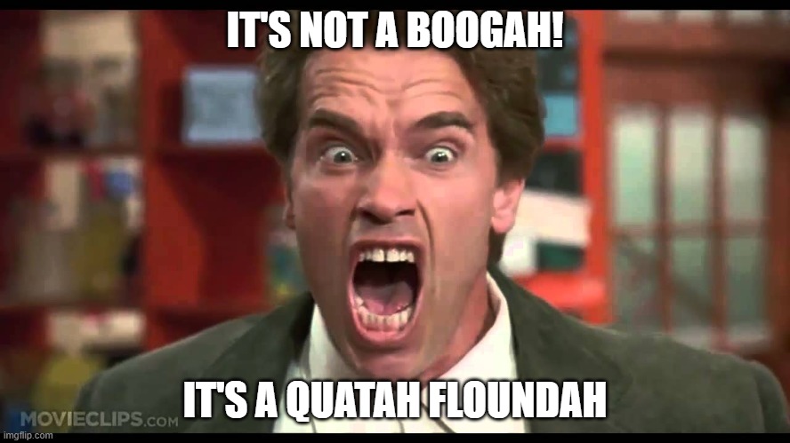 It's not a tumor  | IT'S NOT A BOOGAH! IT'S A QUATAH FLOUNDAH | image tagged in it's not a tumor | made w/ Imgflip meme maker