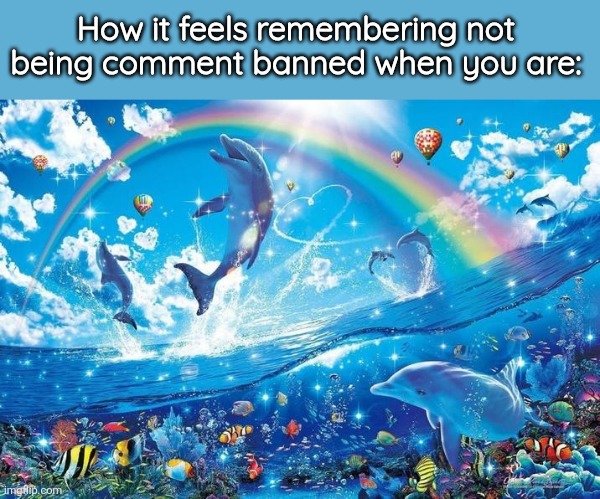 Happy dolphin rainbow | How it feels remembering not being comment banned when you are: | image tagged in happy dolphin rainbow | made w/ Imgflip meme maker