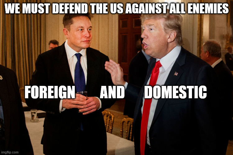 ALL enemies. Foreign AND Domestic. | WE MUST DEFEND THE US AGAINST ALL ENEMIES; FOREIGN         AND       DOMESTIC | image tagged in trump and elon musk | made w/ Imgflip meme maker