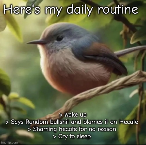 Rate my routine chat | Here's my daily routine; > wake up
> Says Random bullshit and blames it on Hecate 
> Shaming hecate for no reason 
> Cry to sleep | image tagged in no balls | made w/ Imgflip meme maker