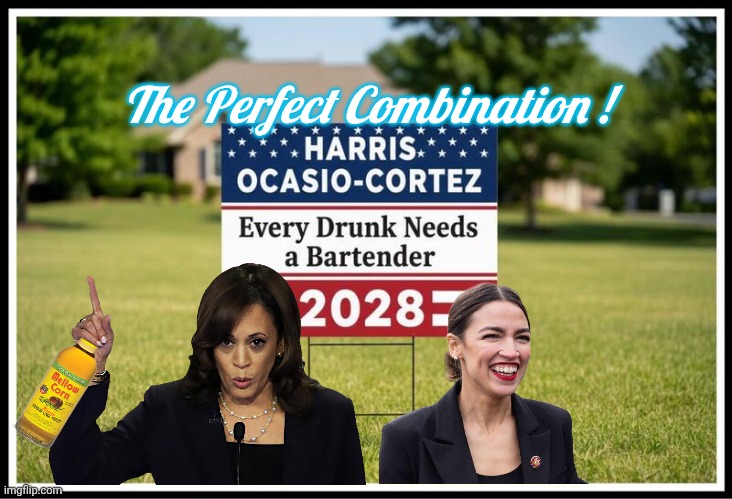 Every Drink needs a bartender | The Perfect Combination ! | image tagged in kamala harris,aoc | made w/ Imgflip meme maker