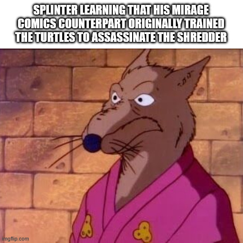 Mirage Splinter DID WHAT?! | SPLINTER LEARNING THAT HIS MIRAGE COMICS COUNTERPART ORIGINALLY TRAINED THE TURTLES TO ASSASSINATE THE SHREDDER | image tagged in dumbfounded master splinter 1987 | made w/ Imgflip meme maker