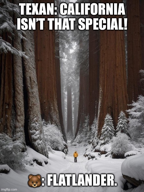 California is awesome | TEXAN: CALIFORNIA ISN’T THAT SPECIAL! 🐻: FLATLANDER. | image tagged in california,grizzly bear | made w/ Imgflip meme maker