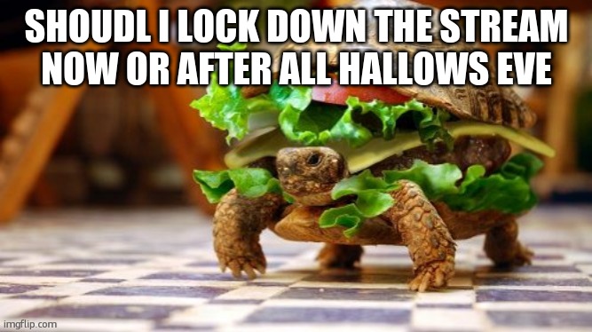 Tortoise Samwich | SHOUDL I LOCK DOWN THE STREAM NOW OR AFTER ALL HALLOWS EVE | image tagged in tortoise samwich | made w/ Imgflip meme maker