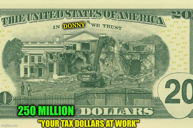 Trash House | DONNY; 250 MILLION; "YOUR TAX DOLLARS AT WORK" | image tagged in white house | made w/ Imgflip meme maker