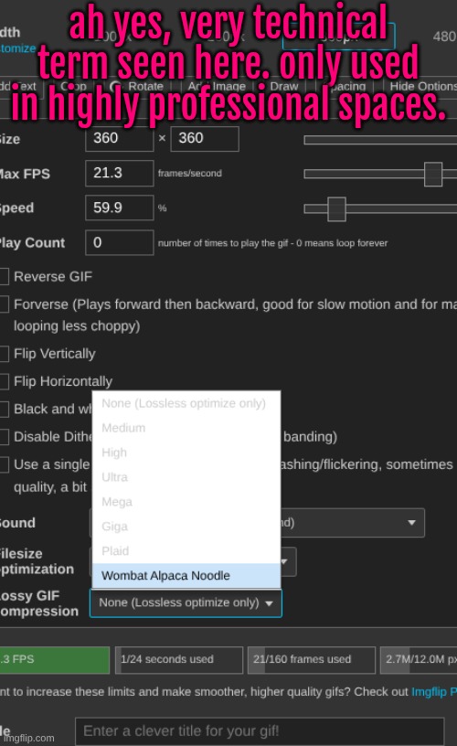 ah yes, very technical term seen here. only used in highly professional spaces. | made w/ Imgflip meme maker