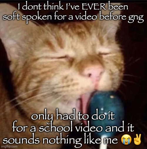 silly goober 2 | I dont think I’ve EVER been soft spoken for a video before gng; only had to do it for a school video and it sounds nothing like me 😭✌️ | image tagged in silly goober 2 | made w/ Imgflip meme maker