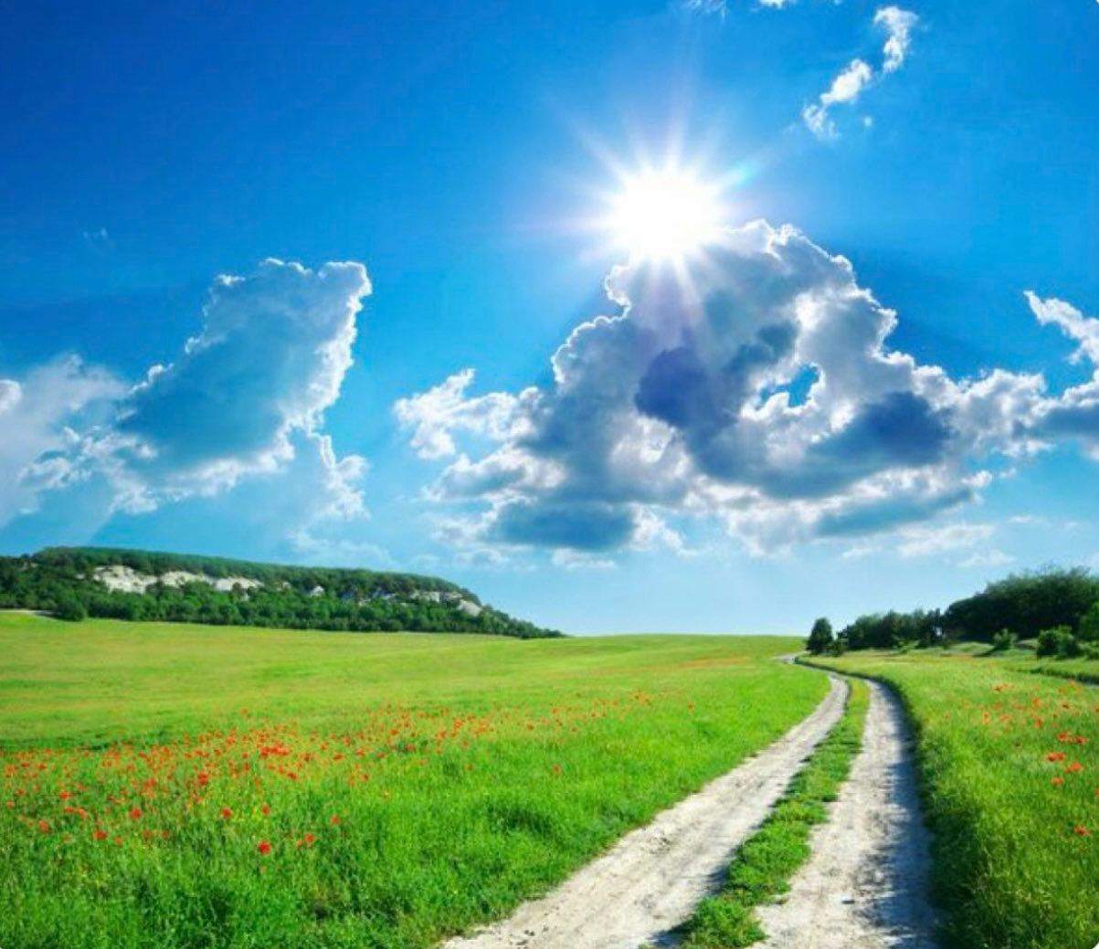 Green sunny day Blank Meme Template