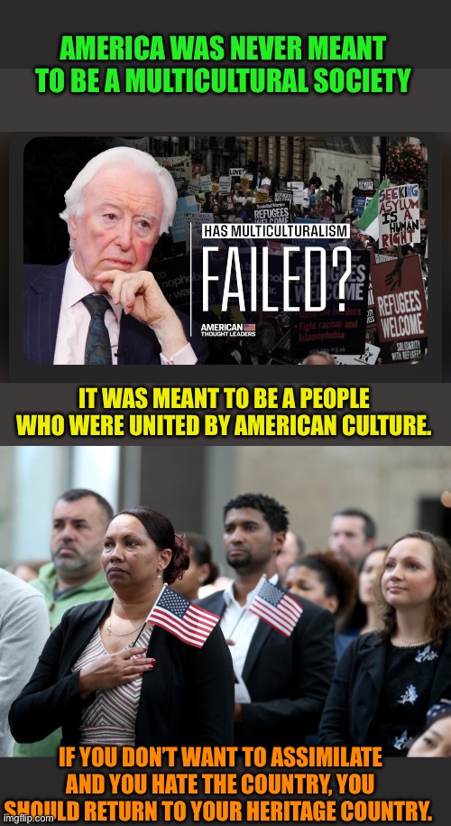 If you don’t want to live by American law, you should leave. | AMERICA WAS NEVER MEANT TO BE A MULTICULTURAL SOCIETY; IT WAS MEANT TO BE A PEOPLE WHO WERE UNITED BY AMERICAN CULTURE. IF YOU DON’T WANT TO ASSIMILATE AND YOU HATE THE COUNTRY, YOU SHOULD RETURN TO YOUR HERITAGE COUNTRY. | image tagged in this is my heritage country,if you dont like it leave,assimilate or the boot | made w/ Imgflip meme maker