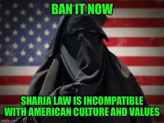 Stop the spread | BAN IT NOW; SHARIA LAW IS INCOMPATIBLE WITH AMERICAN CULTURE AND VALUES | image tagged in ban sharia law asap,no more incompatible immigrants,enforce noise restrictions | made w/ Imgflip meme maker