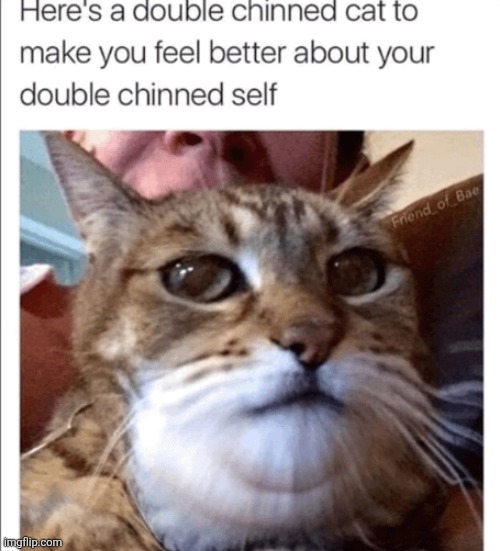 gn chat | made w/ Imgflip meme maker