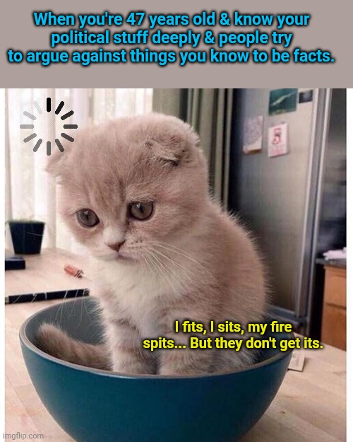 What it's like to have a brain & talk politics with younger people | When you're 47 years old & know your political stuff deeply & people try to argue against things you know to be facts. I fits, I sits, my fire spits... But they don't get its. | image tagged in sad kitten in food bowl,republicans,democrats,political meme | made w/ Imgflip meme maker
