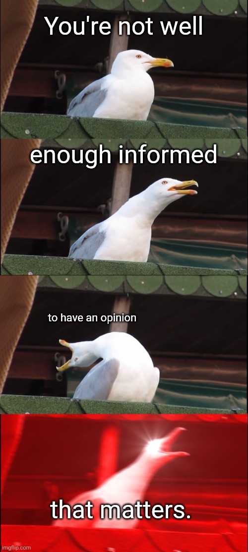 In my opinion | You're not well; enough informed; to have an opinion; that matters. | image tagged in memes,inhaling seagull | made w/ Imgflip meme maker