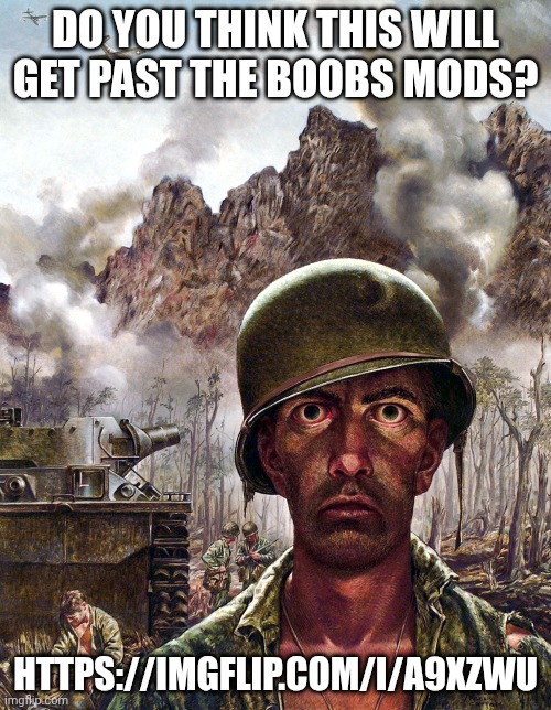 https://imgflip.com/i/a9xzwu | DO YOU THINK THIS WILL GET PAST THE BOOBS MODS? HTTPS://IMGFLIP.COM/I/A9XZWU | image tagged in 1000 yard stare | made w/ Imgflip meme maker