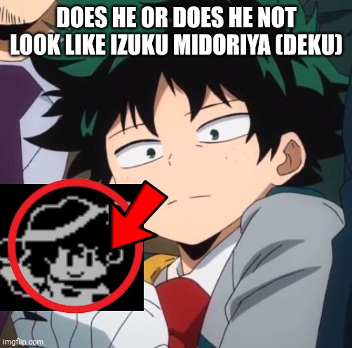 What (mha) | DOES HE OR DOES HE NOT LOOK LIKE IZUKU MIDORIYA (DEKU) | image tagged in what mha | made w/ Imgflip meme maker