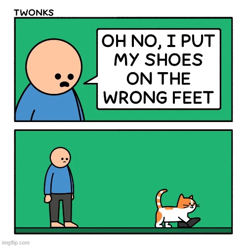 image tagged in shoes,wrong,feet,cat | made w/ Imgflip meme maker