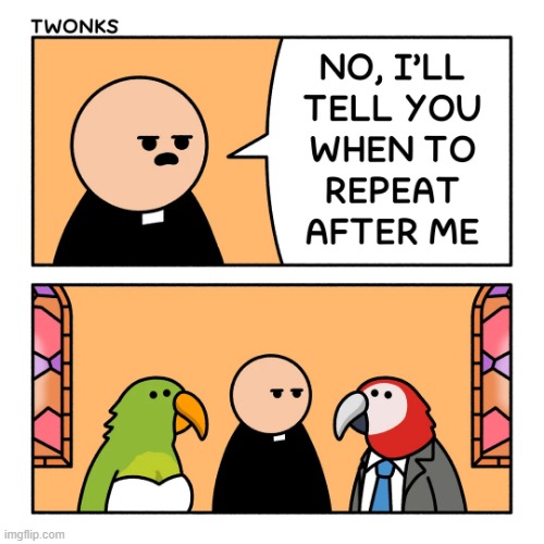 image tagged in wedding,repeat,after,me,repeat after me,parrots | made w/ Imgflip meme maker