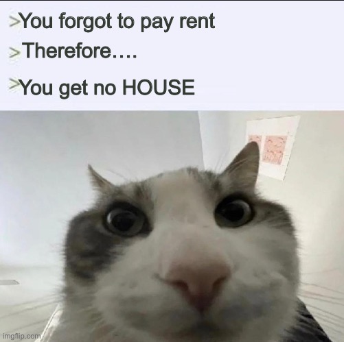 Rent due…. | You forgot to pay rent; Therefore…. You get no HOUSE | image tagged in cat looks inside | made w/ Imgflip meme maker